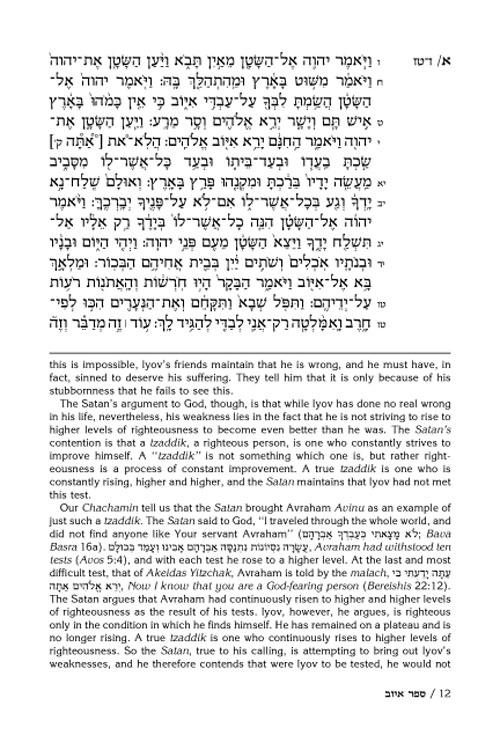 Rav Schwab on Iyov – תמונה 4