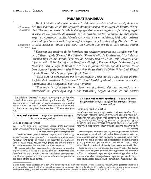 Spanish Edition of Chumash with the Teachings of the Talmud -Wengrowsky Edition – תמונה 3