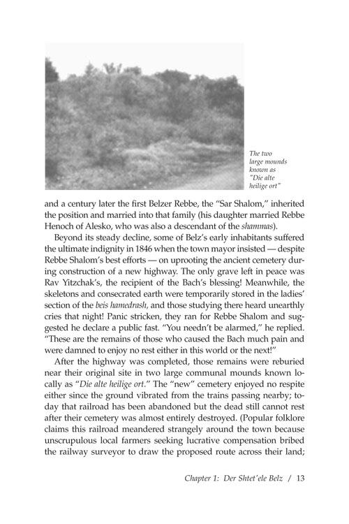 Rescuing the Rebbe of Belz – תמונה 4