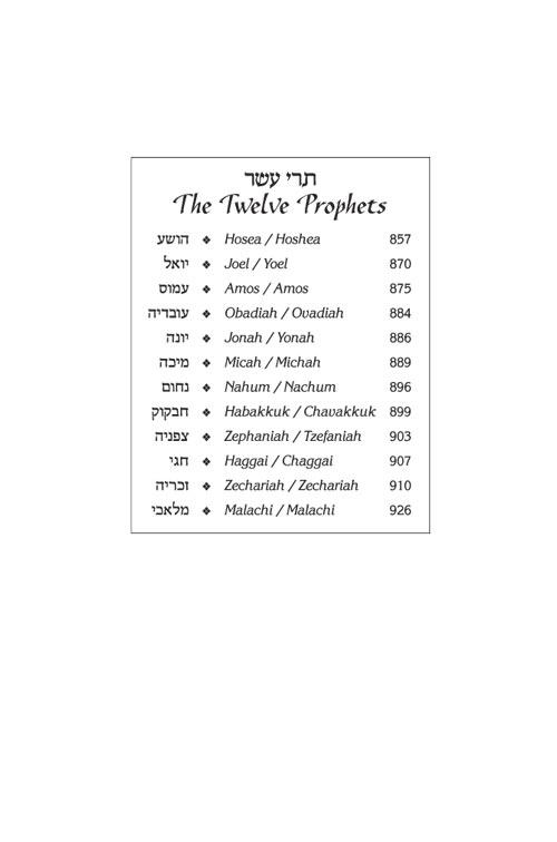 Stone Edition ENGLISH ONLY Tanach – Mid Size – תמונה 10