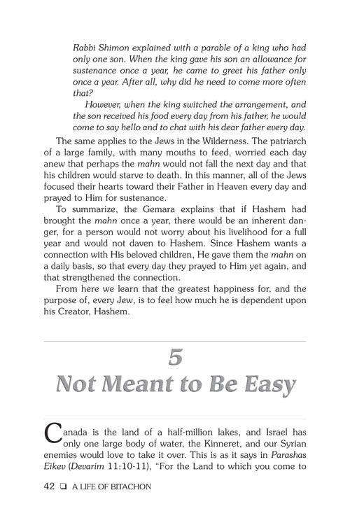 A Life of Bitachon – תמונה 13