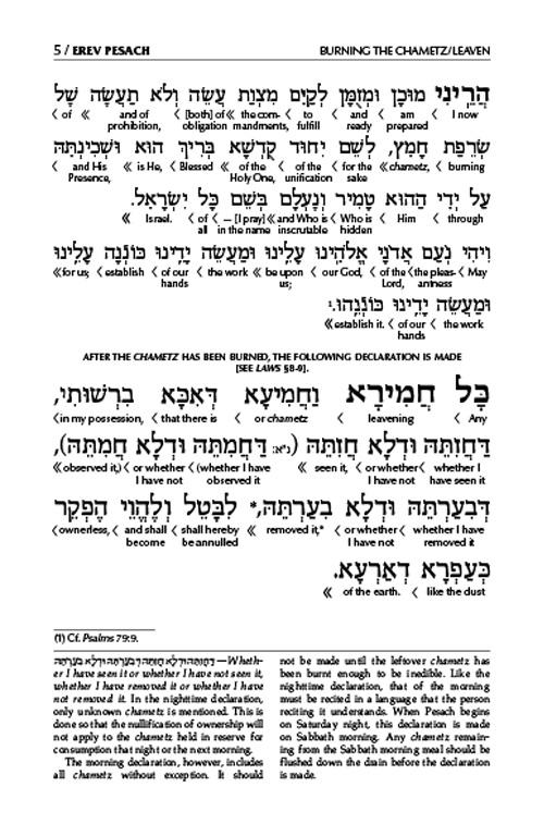 Schottenstein Interlinear Pesach Machzor Full Size Sefard following the Customs of Eretz Yisroel – תמונה 5