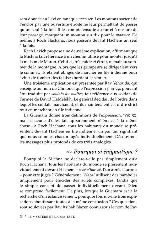The Mystery and the Majesty – French Edition – תמונה 3