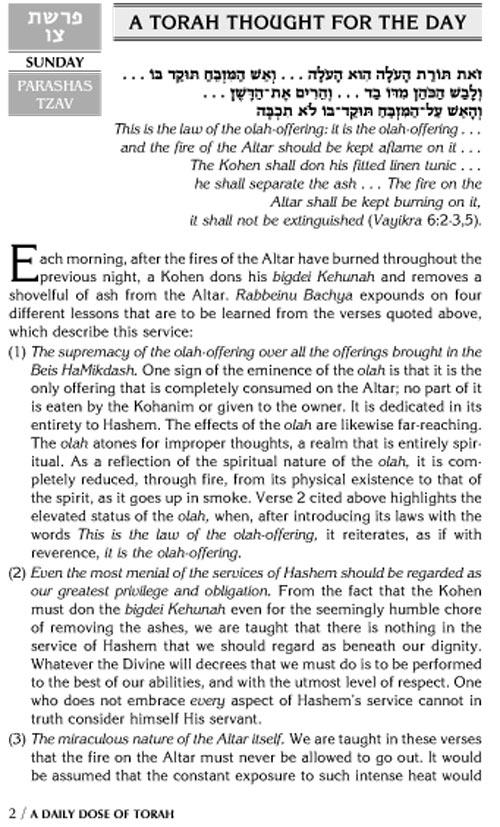A DAILY DOSE OF TORAH SERIES 1 Vol 07: Weeks of Tzav through Metzorah – תמונה 2