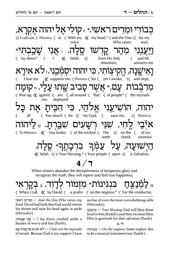 Signature Leather Collection Full-Size Schottenstein Interlinear Tehillim Glacier Grey – תמונה 6