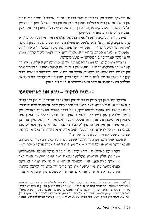 Rebbi Meir Baal Haness – Yiddish Edition – תמונה 3