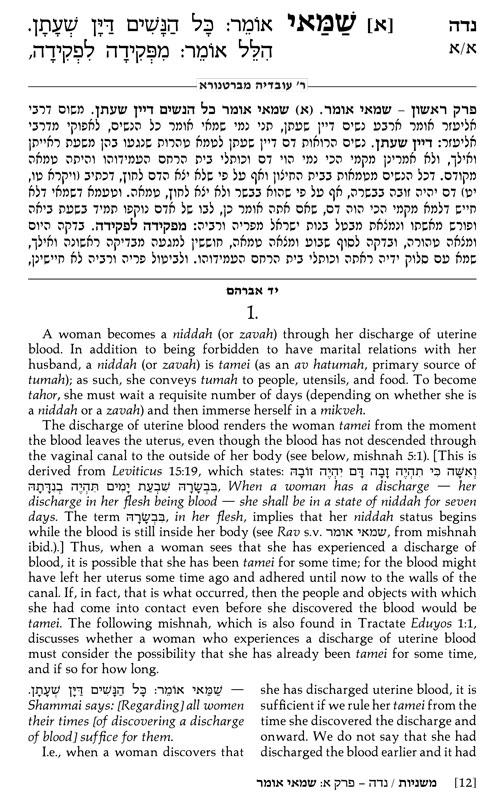 Yad Avraham Mishnah Series:42 Tractate NIDDAH (Seder Tohoros 4c) – תמונה 2