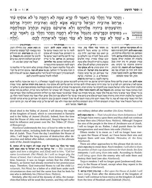 The Milstein Edition of the Later Prophets: The Twelve Prophets / Trei Asar – תמונה 7