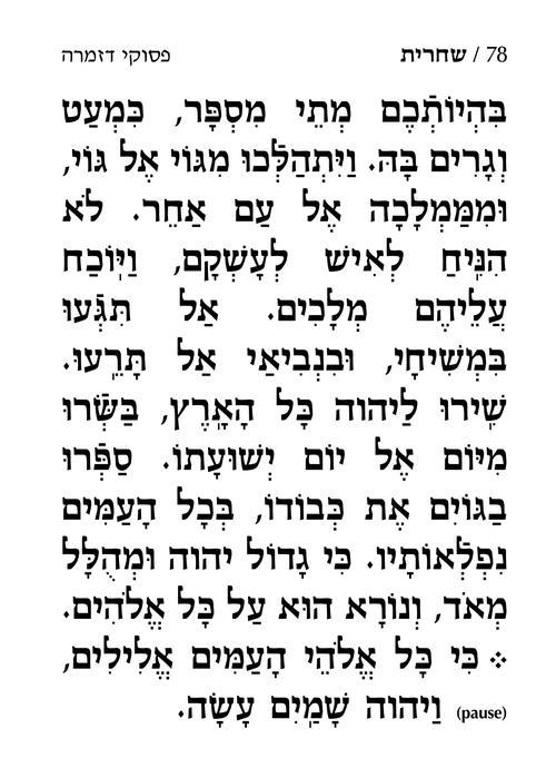 סידור ענק לימות החול אשכנז עם הוראות באנגלית – תמונה 5