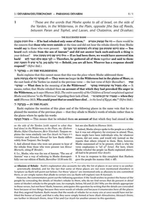 Schottenstein Edition The Elucidated Rashi on Chumash – Devarim volume 1: Devarim – Shoftim – תמונה 3