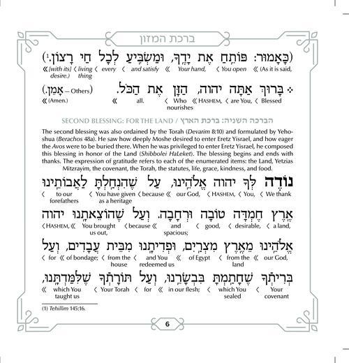Schottenstein Ed Interlinear Hardcover Faux Leather Zemiros Set (6 vol) – Silver – תמונה 3