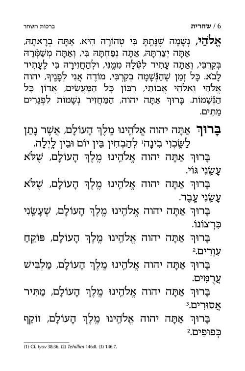 Siddur Shiras Sheina: All Hebrew Women’s Siddur – Ashkenaz with English Instructions – White – תמונה 6