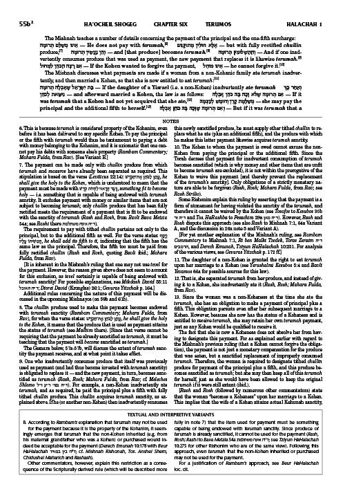 Schottenstein Talmud Yerushalmi – English Edition Daf Yomi Size – Tractate Terumos Vol 2 (55b-107a) – תמונה 5