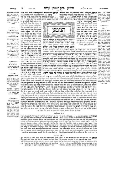 Schottenstein Talmud Yerushalmi – English Edition Daf Yomi Size – Tractate Orlah / Bikkurim – תמונה 5