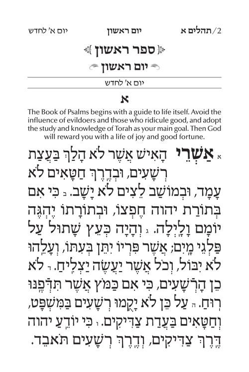 Large Type Tehillim / Psalms Full Size – Signature Leather – Black – תמונה 2