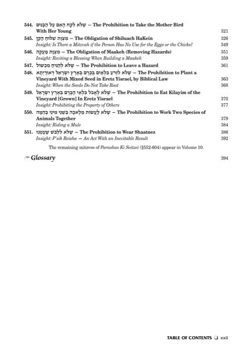 Sefer Hachinuch / Book of Mitzvos Schottenstein Edition – Volume #9 – תמונה 8