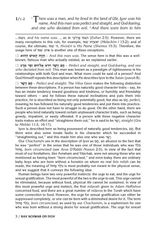 Rav Schwab on Iyov – תמונה 6
