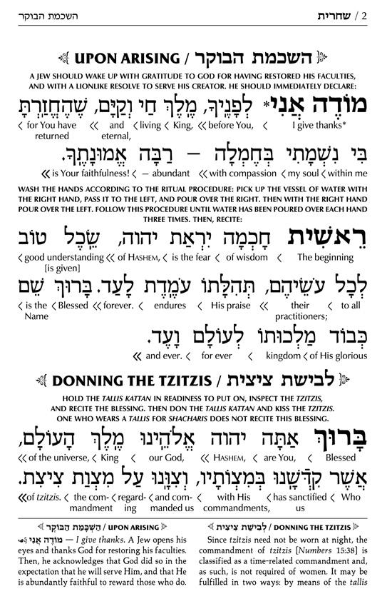 Siddur Interlinear Weekday Pocket Size Ashkenaz Schottenstein Edition – Signature Leather – Pink – תמונה 2