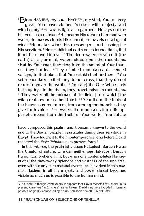 Rav Schwab on Selections of Tehillim – תמונה 3