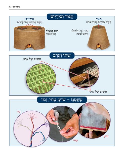מפות, טבלאות, וסדרי המאורעות שבתורה (מהדורת עברית, כריכה קשה) – תמונה 3