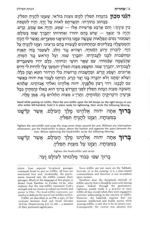 Siddur Hebrew/English: Complete Full Size – Ashkenaz – Synagogue Edition – תמונה 7
