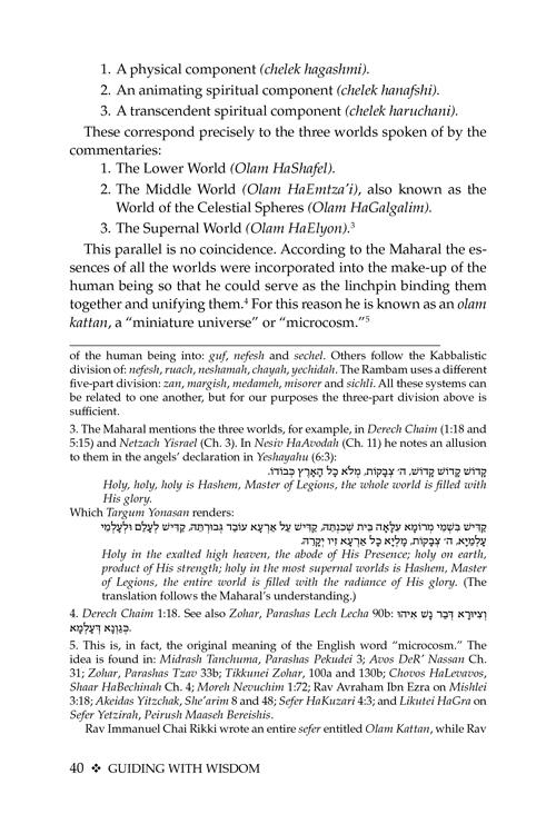 Guiding With Wisdom – תמונה 3