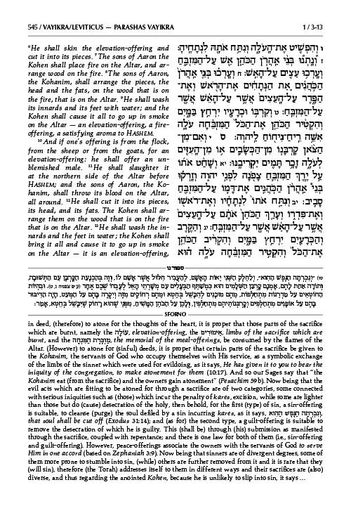 Sforno on Chumash volume 2 – תמונה 5
