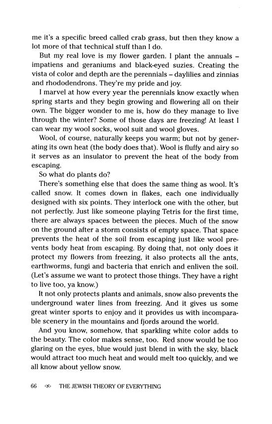 The Jewish Theory of Everything – תמונה 5