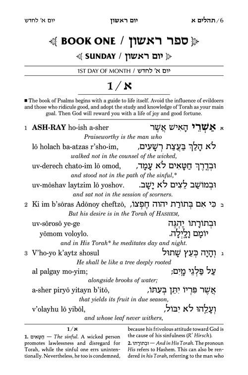 Tehillim: Transliterated Linear – Seif Edition, Pocket Size H/C – תמונה 2