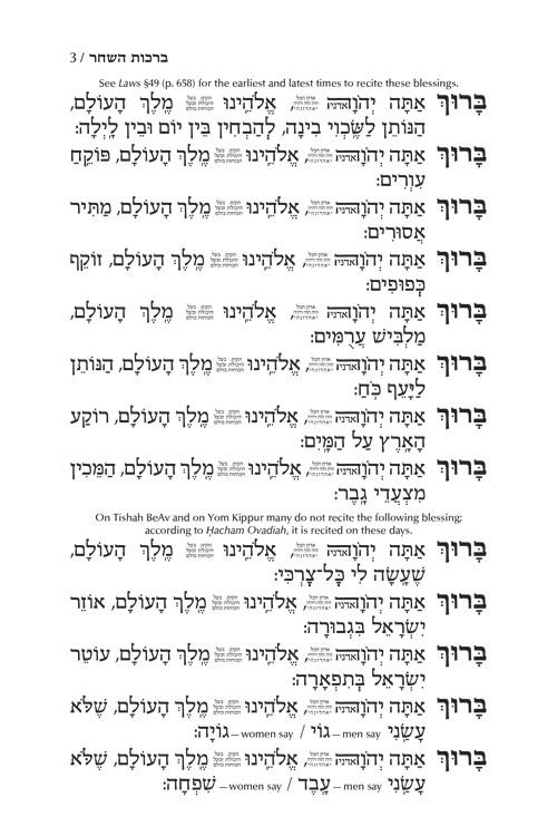 Siddur Tefillah LeDavid: Hebrew-Only: Mid Size – Sephardic/Edot HaMizrach – with English Instructions – תמונה 3