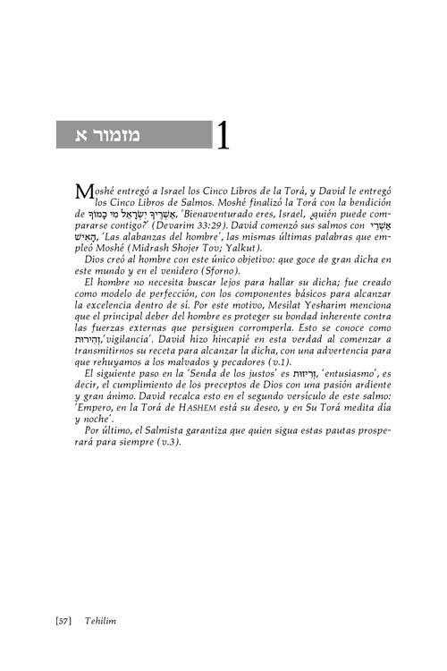 Spanish Tehillim / Psalms Vol. 1 – תמונה 2