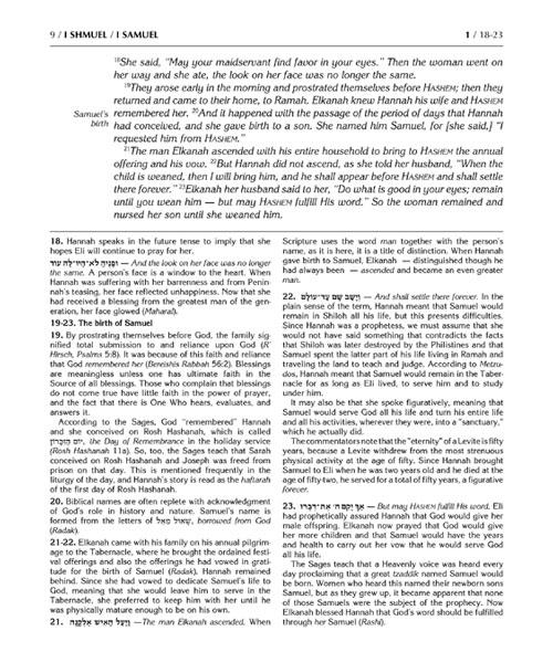 The Rubin Edition of the Prophets: Samuel I and II – תמונה 9