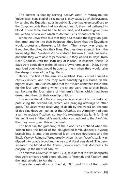 Haggadah Touched by Our Story – תמונה 3