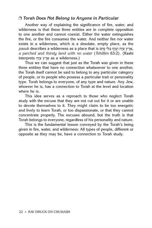 Rav Druck on Chumash – Bamidbar – תמונה 5