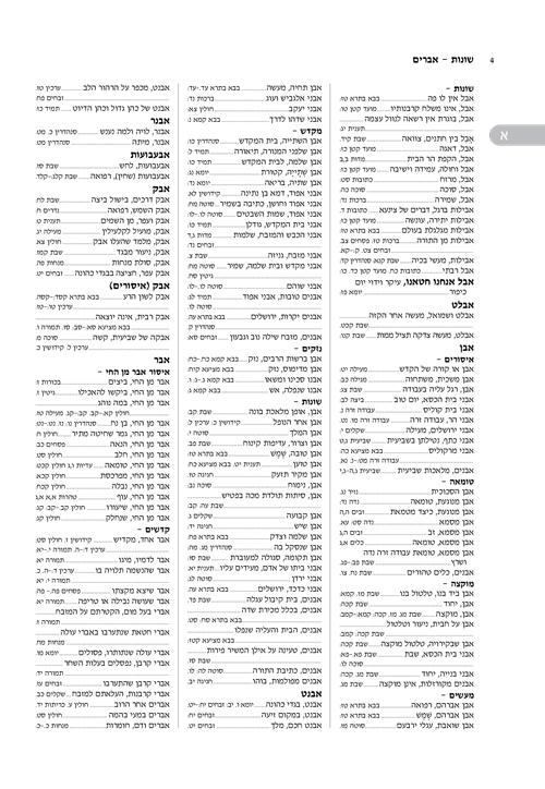 המפתח לתלמוד בבלי החדש א-ת – תמונה 5
