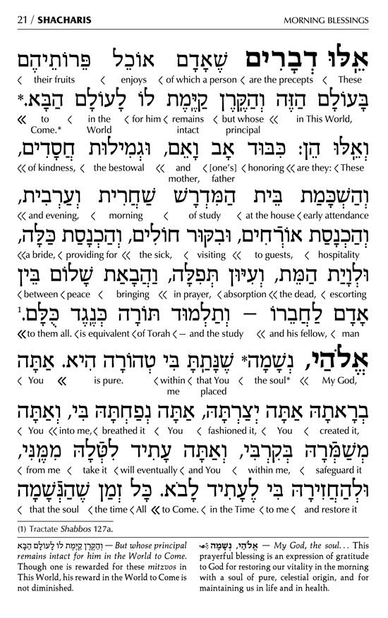 Siddur Interlinear Weekday Pocket Size Sefard White Leather Schottenstein Ed – תמונה 8