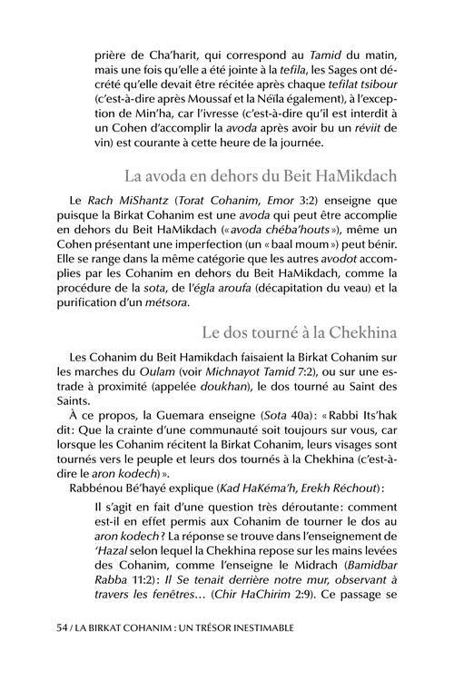 The Priceless Treasure of Bircas Kohanim – French Edition – תמונה 4