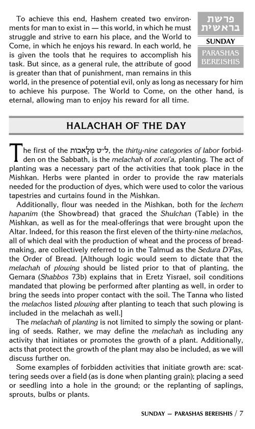 A DAILY DOSE OF TORAH SERIES 1 Vol 01: Weeks of Bereishis through Vayeira – תמונה 7
