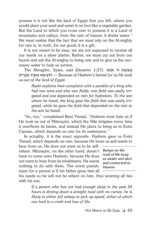 A Life of Bitachon – תמונה 3