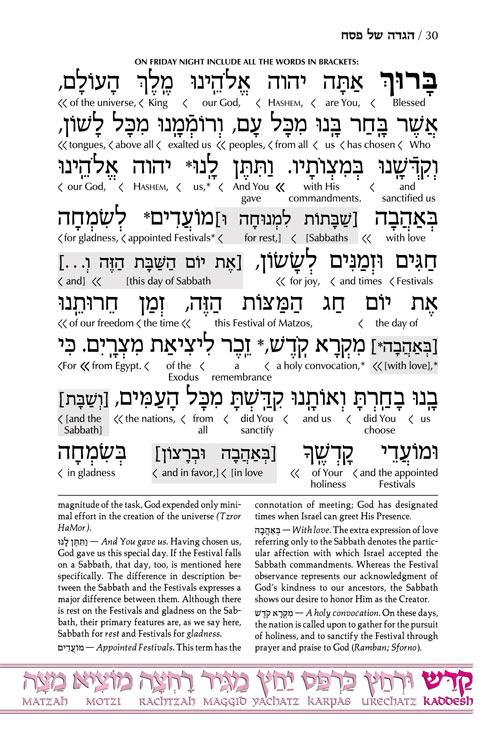 Schottenstein Ed Interlinear Haggadah – P/B – תמונה 4