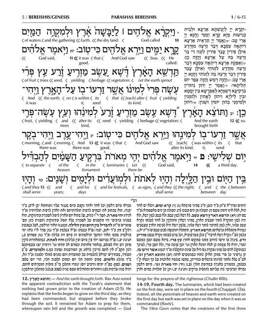 Schottenstein Ed Interlinear Chumash Vol 1: Bereishis / Genesis – תמונה 5