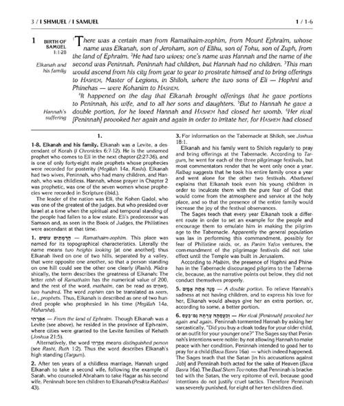 Rubin / Milstein Prophets and Writings Full size 13 volume Set – תמונה 3