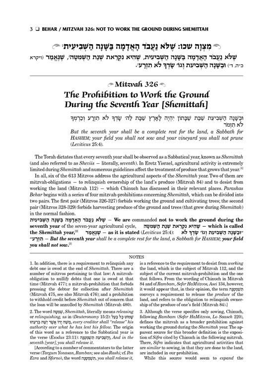 Sefer Hachinuch / Book of Mitzvos Schottenstein Edition – Volume #6 – תמונה 2