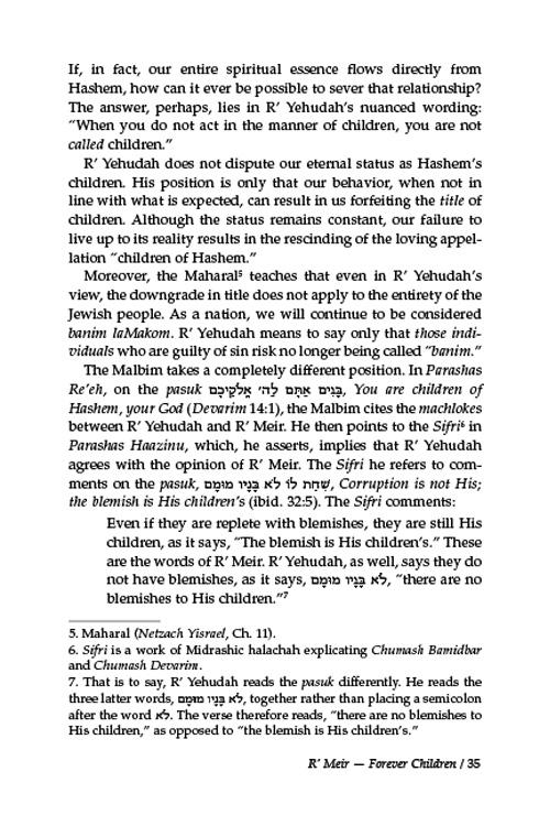Rebbi Meir Baal Haness and the Eternal Children of Hashem – תמונה 6