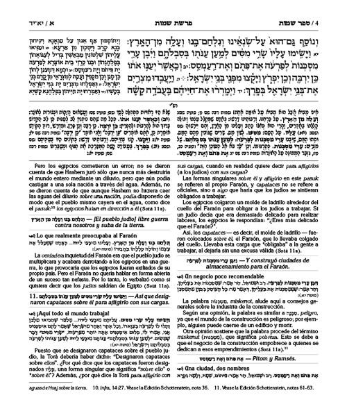 Spanish Edition of Chumash with the Teachings of the Talmud -Wengrowsky Edition – תמונה 4