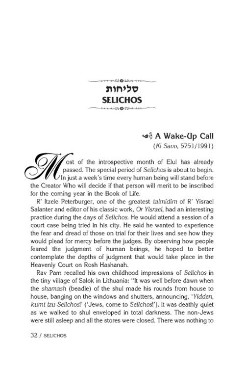 Rav Pam on the Festivals – תמונה 7