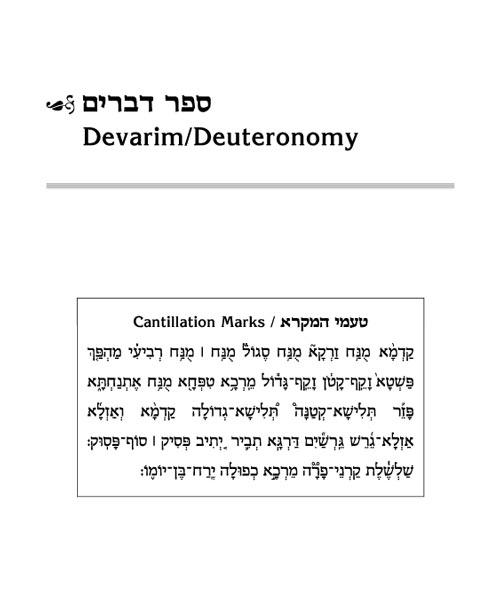 Schottenstein Ed Interlinear Chumash Vol 5: Devarim / Deuteronomy – תמונה 2