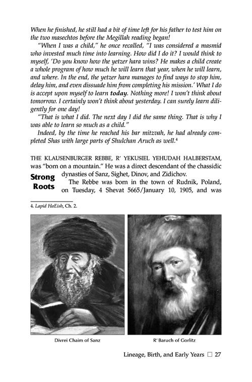 The Klausenburger Rebbe – תמונה 4