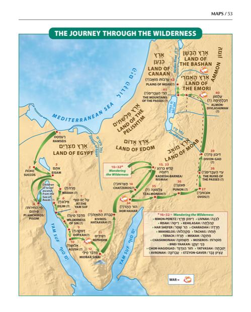 The Book of Torah Timelines, Charts and Maps – תמונה 2