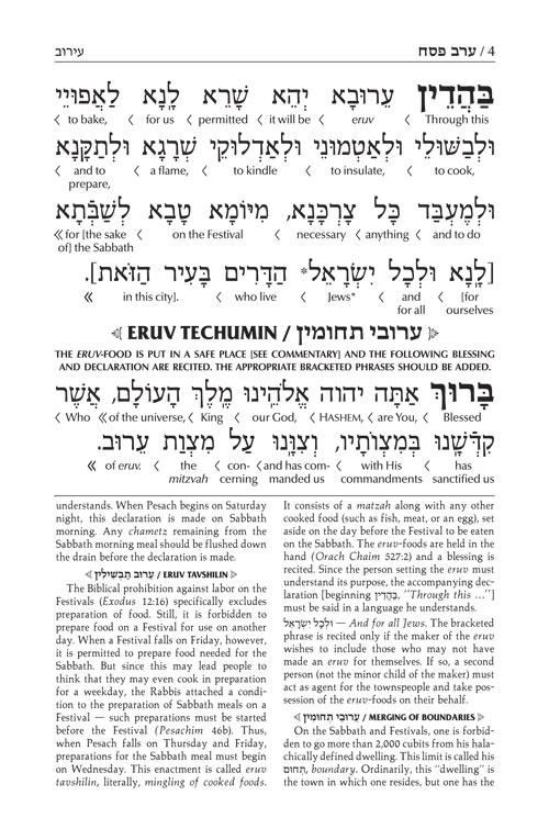 Schottenstein Interlinear Pesach Machzor Pocket Size Ashkenaz – תמונה 4